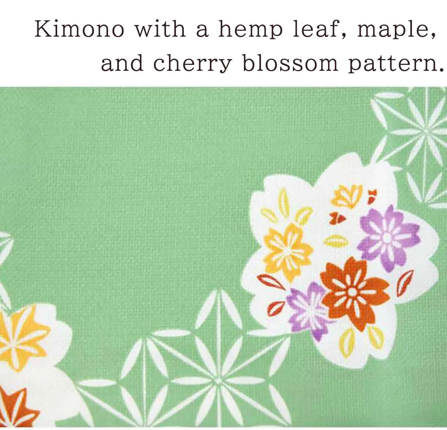 Kimono 4 Piece Coordinate Set / Kimono, Obi, Obi-age, Obi-jime / tailored M Size/navy cherry blossom pattern
