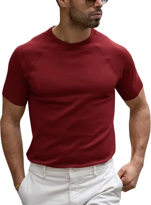Runcati Mens Casual T Shirt Stretch Short Sleeve Knit Slim Fit Crew Neck Pullover Sweater Solid Basic Tops